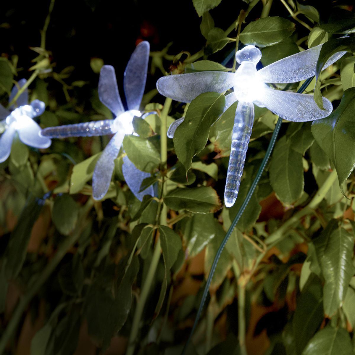 Solar Dragonfly LED String Lights 10-Piece J1904