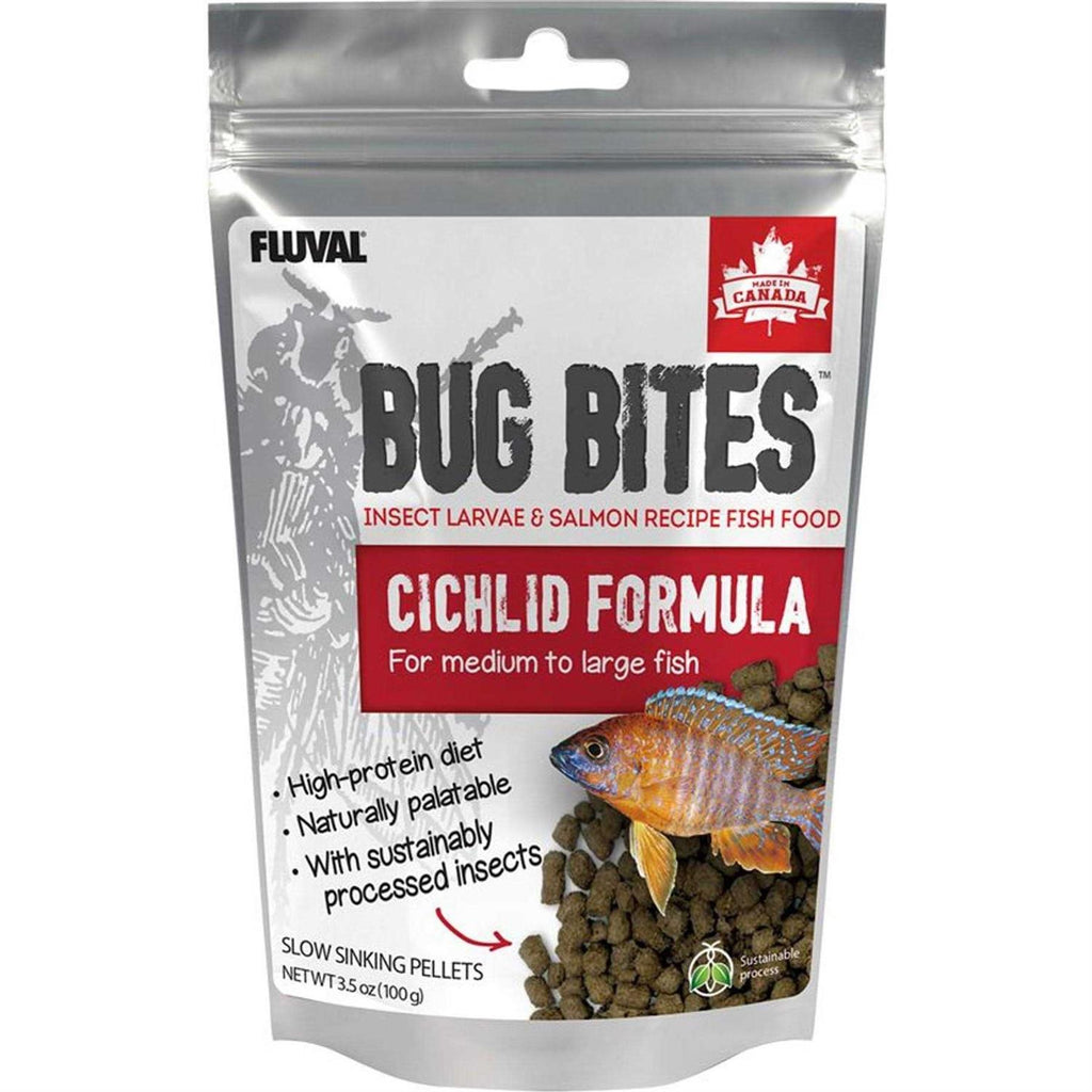 Bug Bites Cichlid X15472