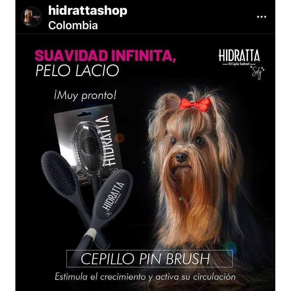 Pet Hairbrush D640