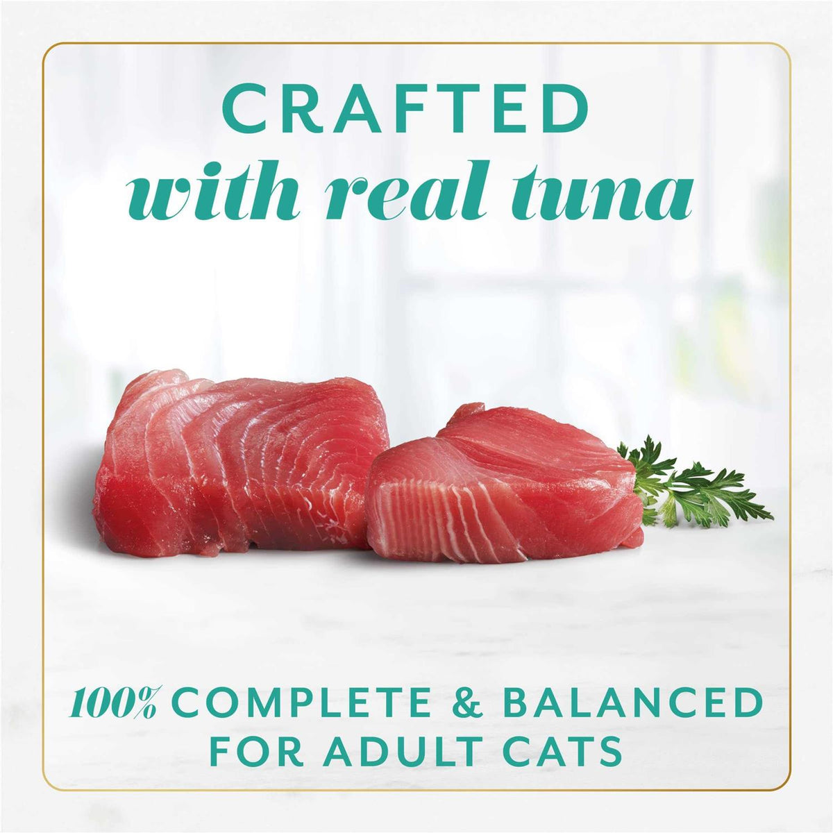 Wet Cat Food K2726