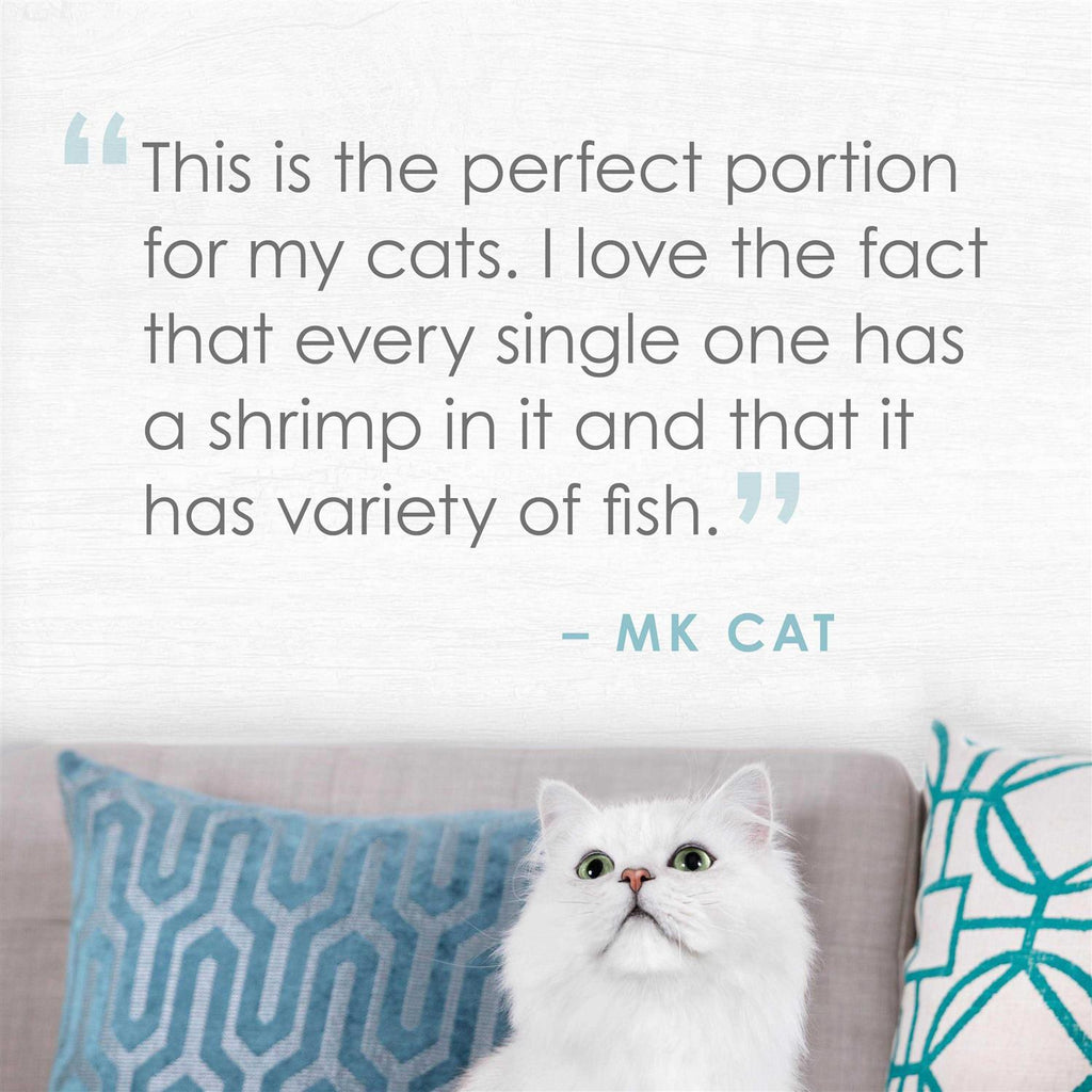 Natural Seabass & Shrimp in Broth Cat Food L5113