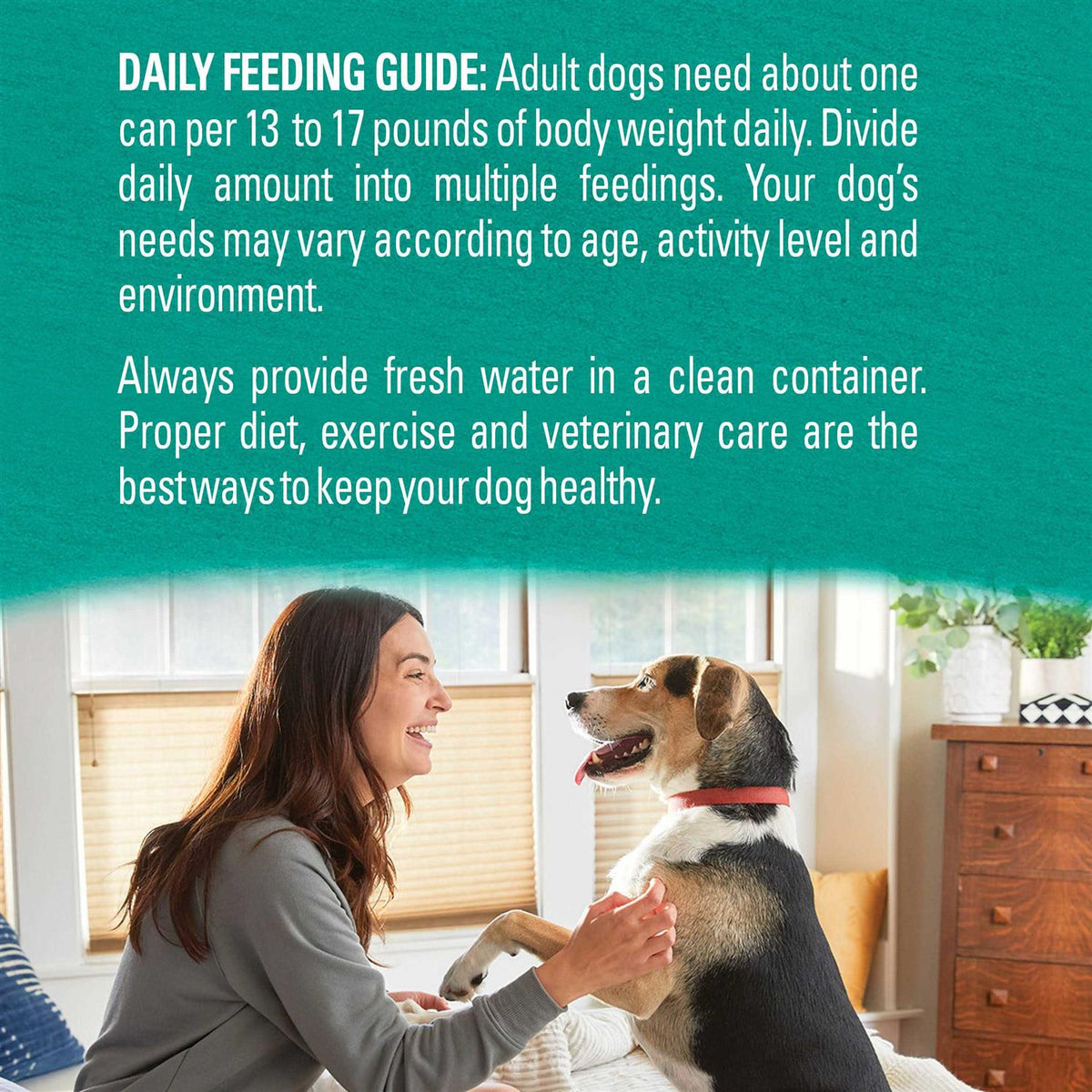 Alaskan Cod Salmon & Sweet Potato Wet Dog Food Can P47780