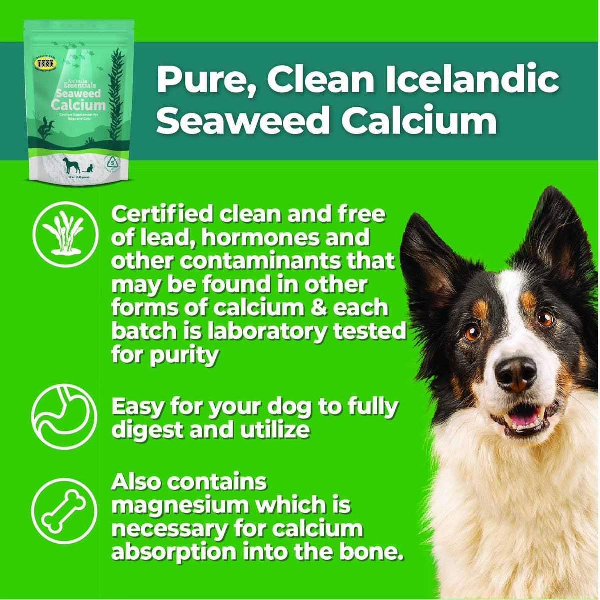 Seaweed Calcium for Dogs and Cats M224932