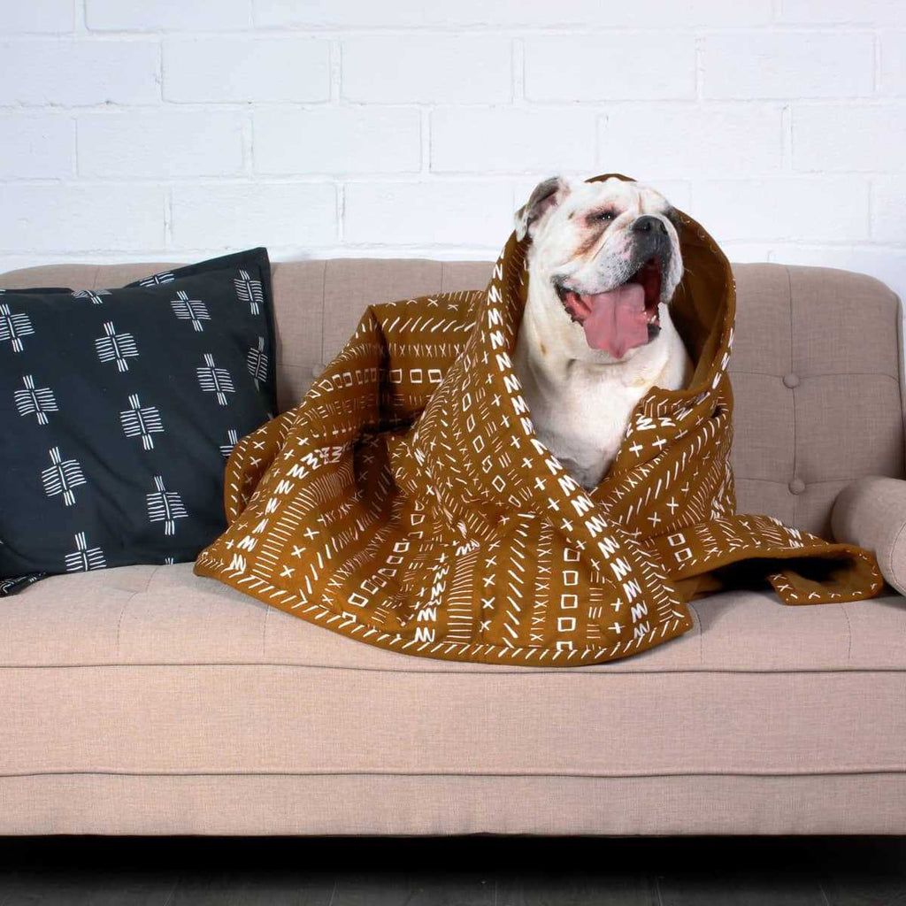Blanket D777661