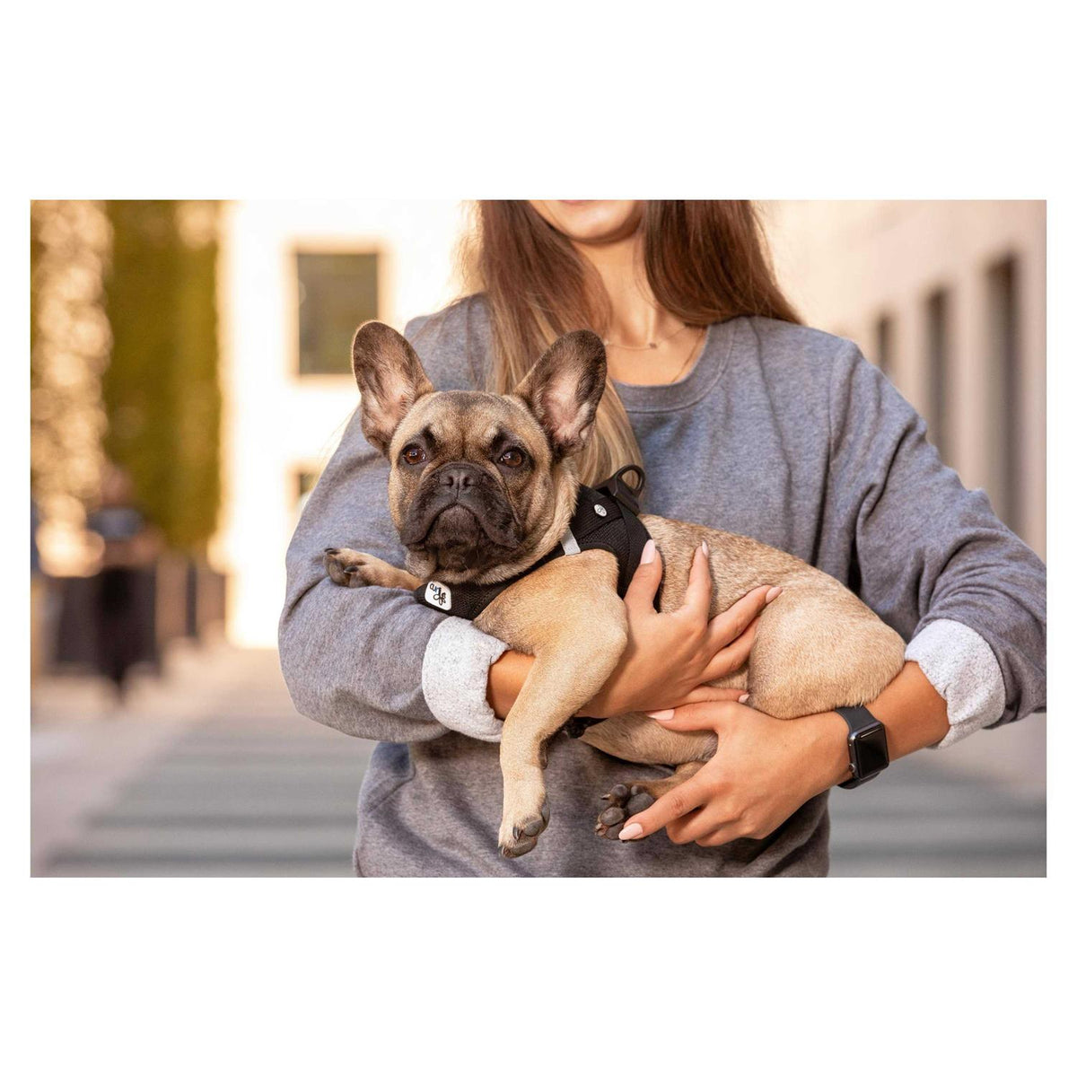 Air-Mesh Dog Harness K316