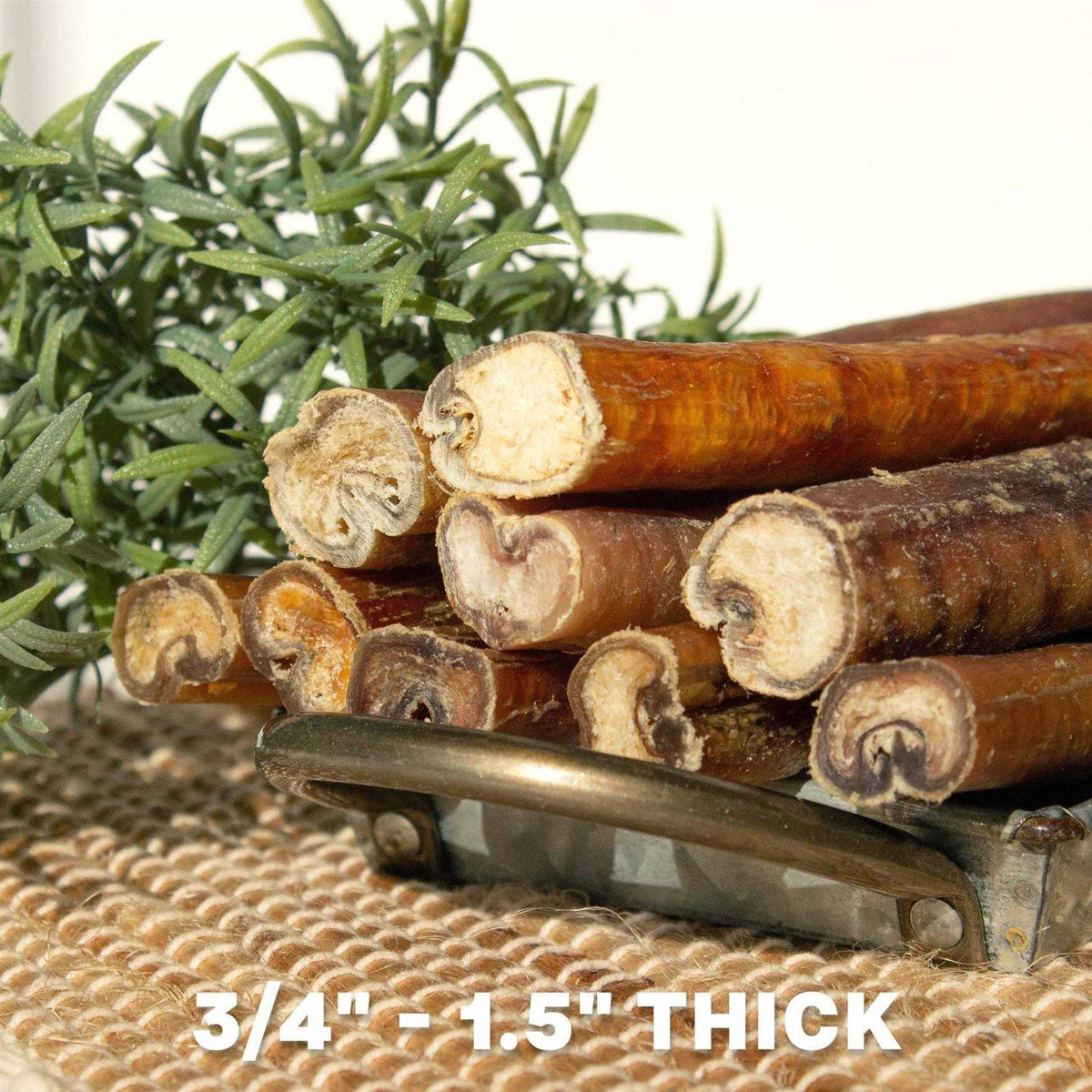Bully Sticks Dog Chews R712