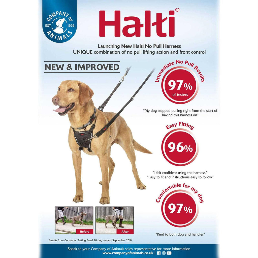 No Pull Dog Harness C591858