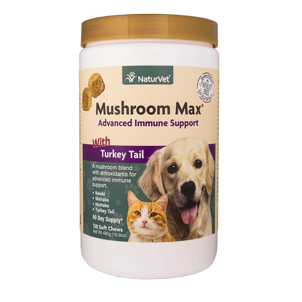 Mushroom Immune Support Soft Chews for Dogs & Cats I554861