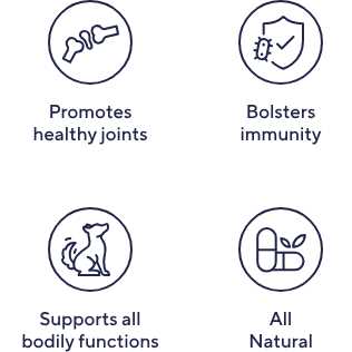 Multivitamin Chews E85825