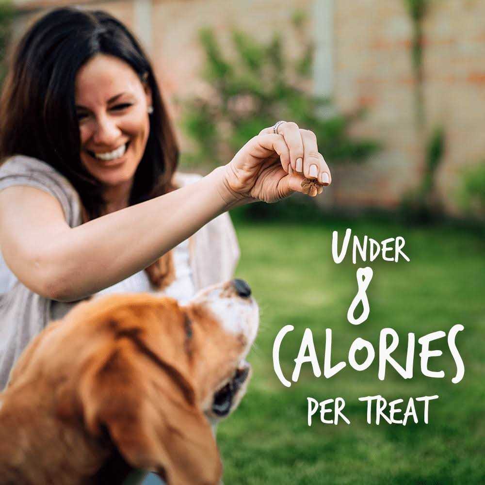 Pumpkin Dog Treats G21664