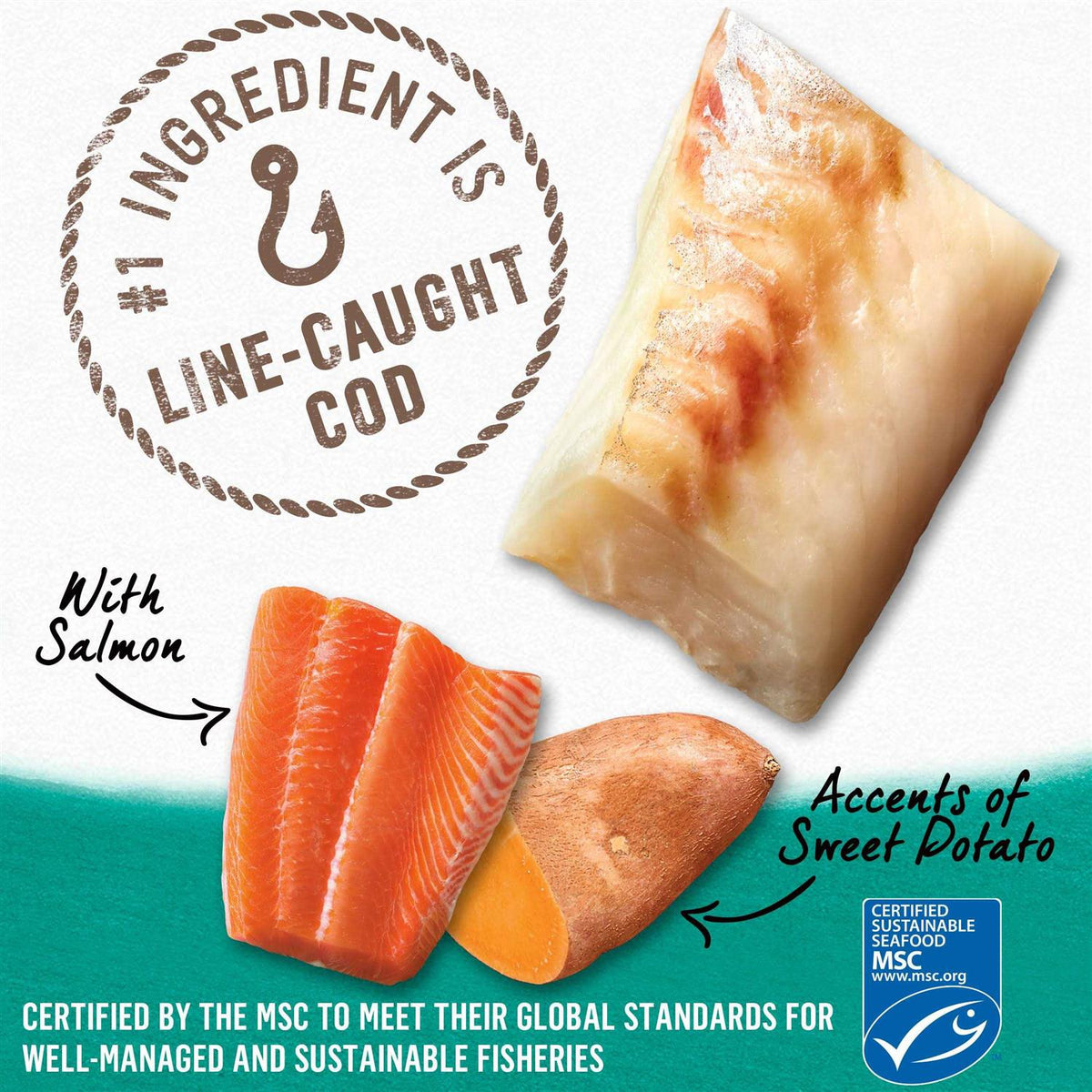 Alaskan Cod Salmon & Sweet Potato Wet Dog Food Can P47780