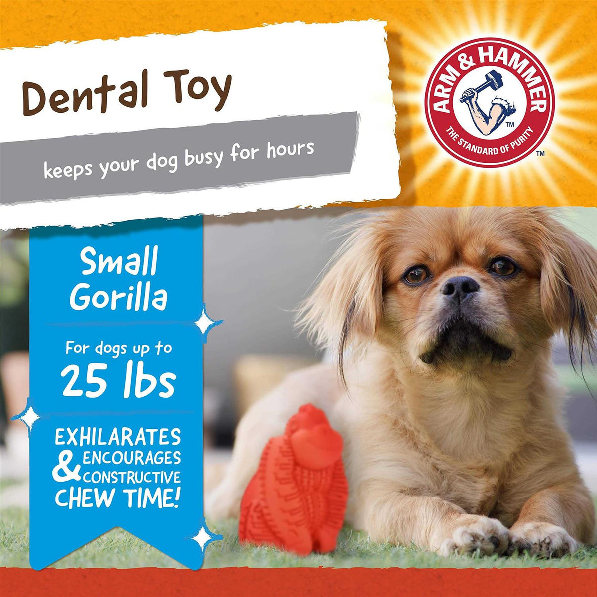 Dog Toy X107517