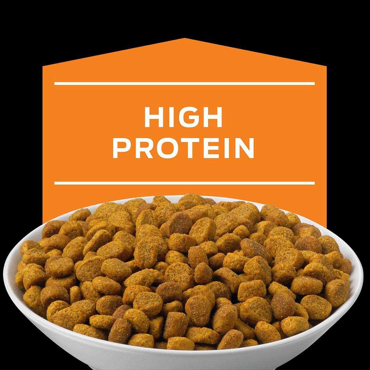 Overweight Management Formula Dry Cat Food V425