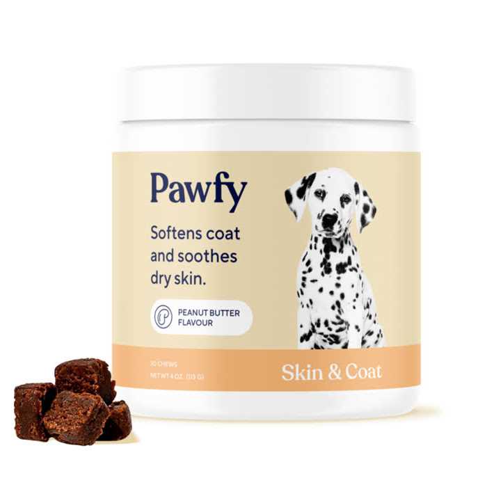 Skin & Coat Soft Chews X385534
