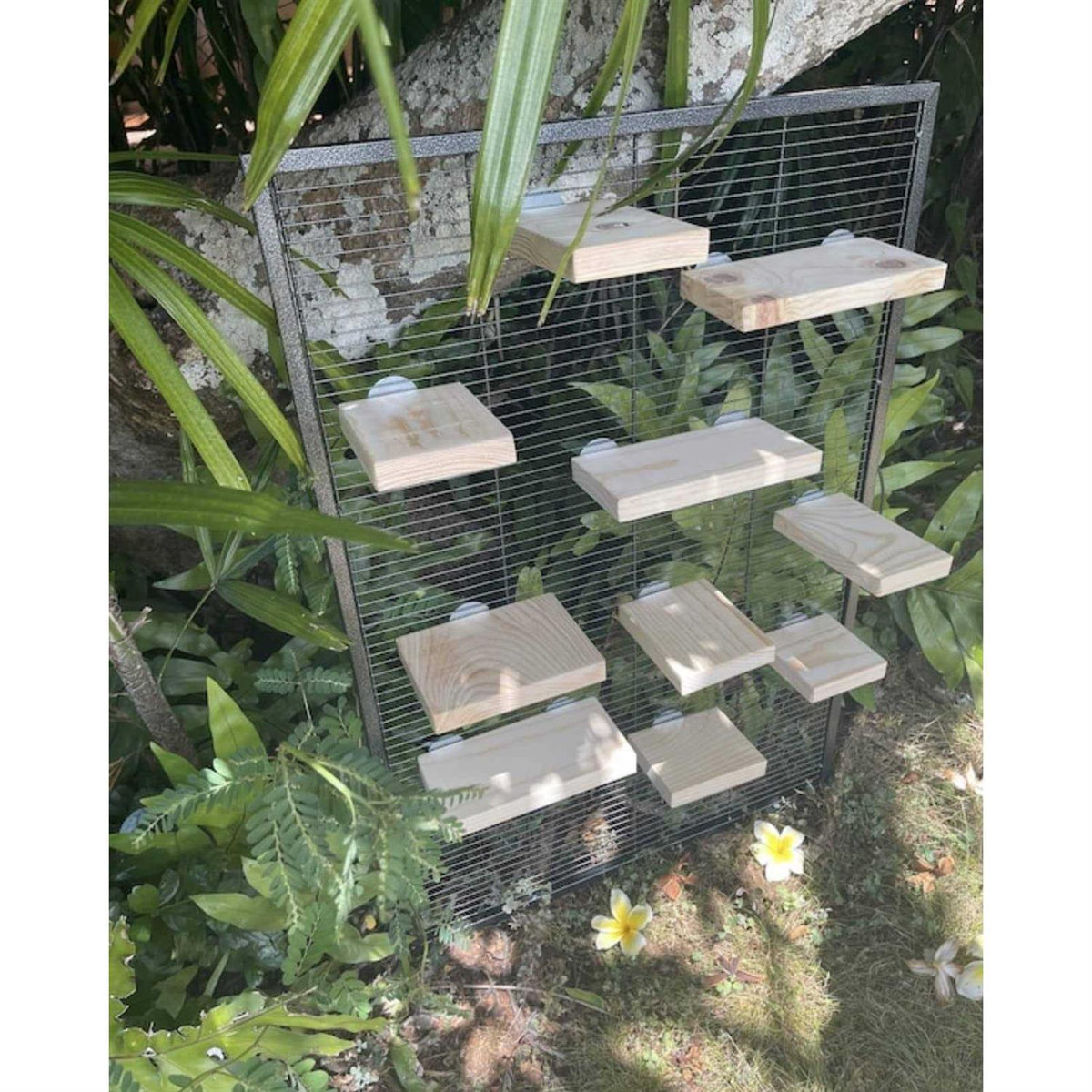 Kiln Dried Pine Small Pet Habitat Accessory W94257