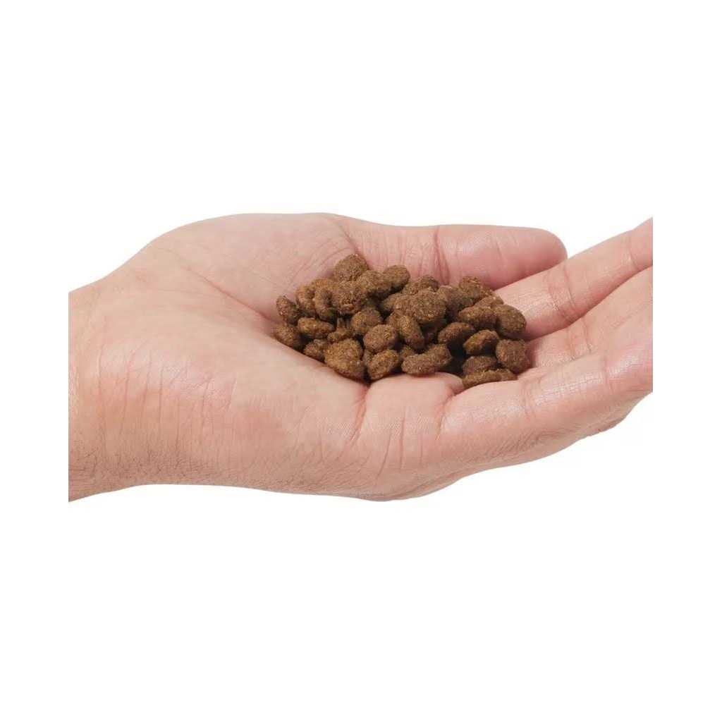 Grain Free Dry Cat Food G4725