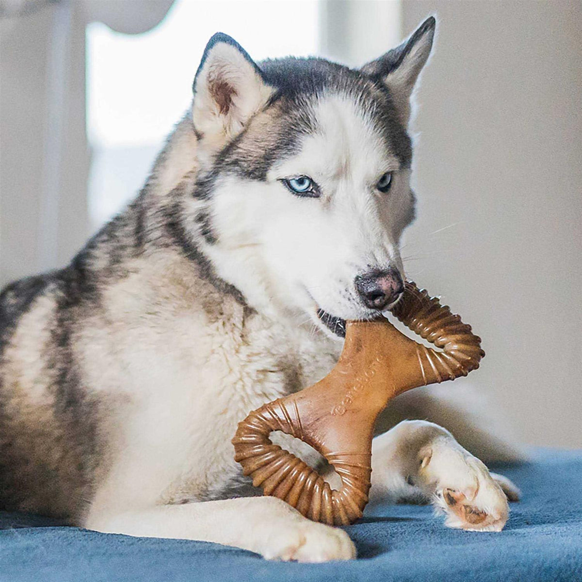 Dental Chew Dog Toy U780