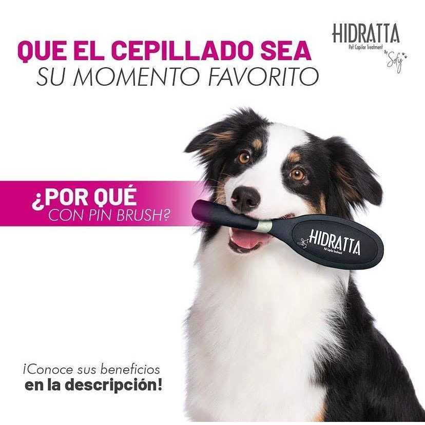 Pet Hairbrush D640