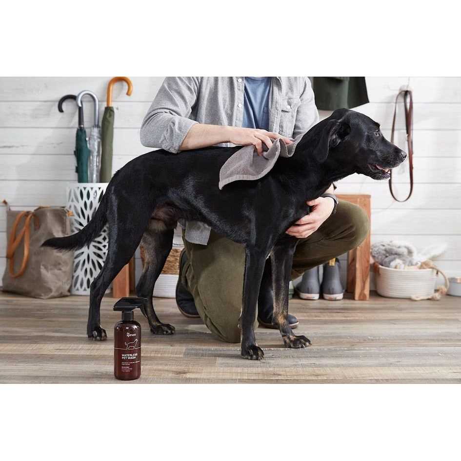 Waterless No Rinse Moisturizing Cat & Dog Shampoo Y610623