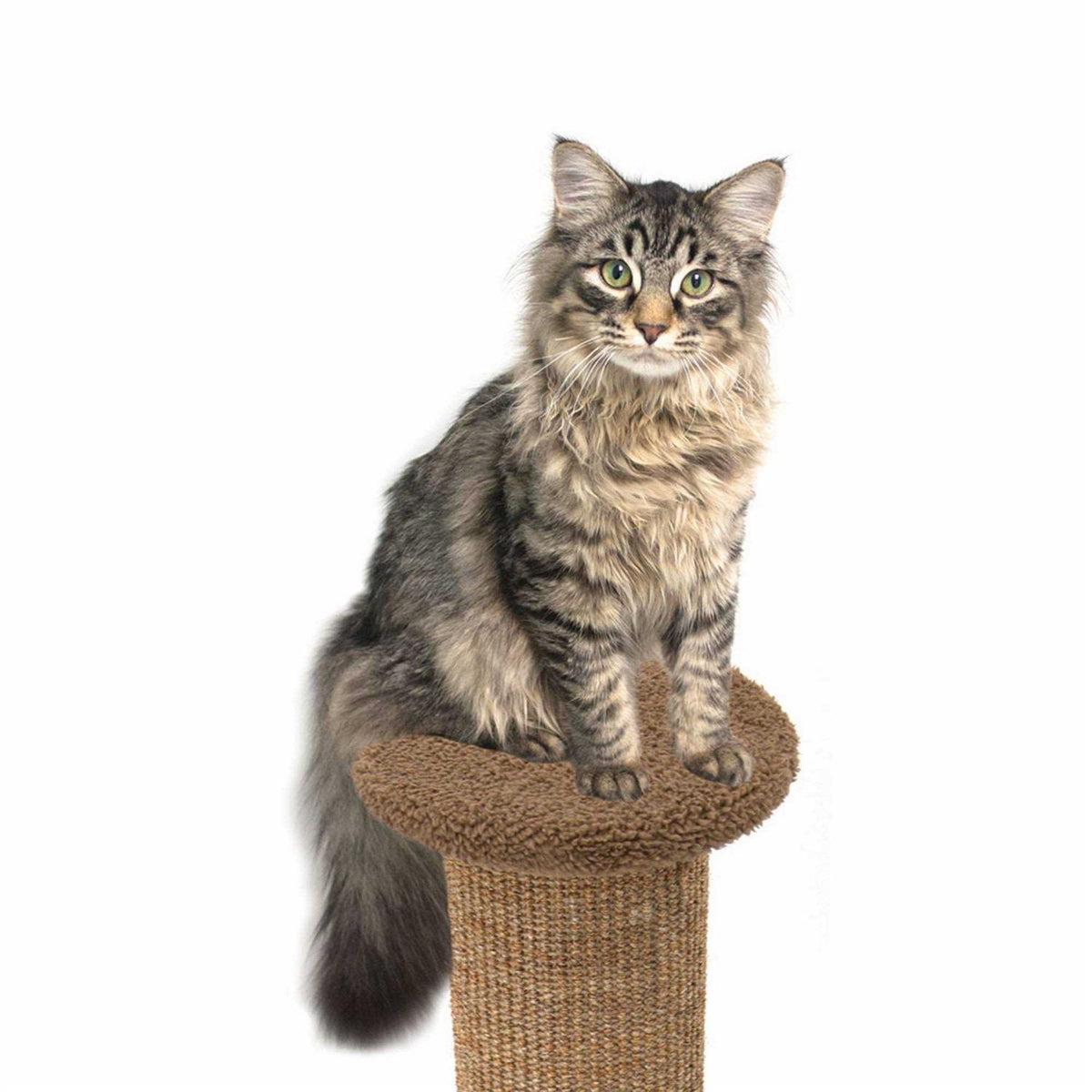 Scratch Post E36598