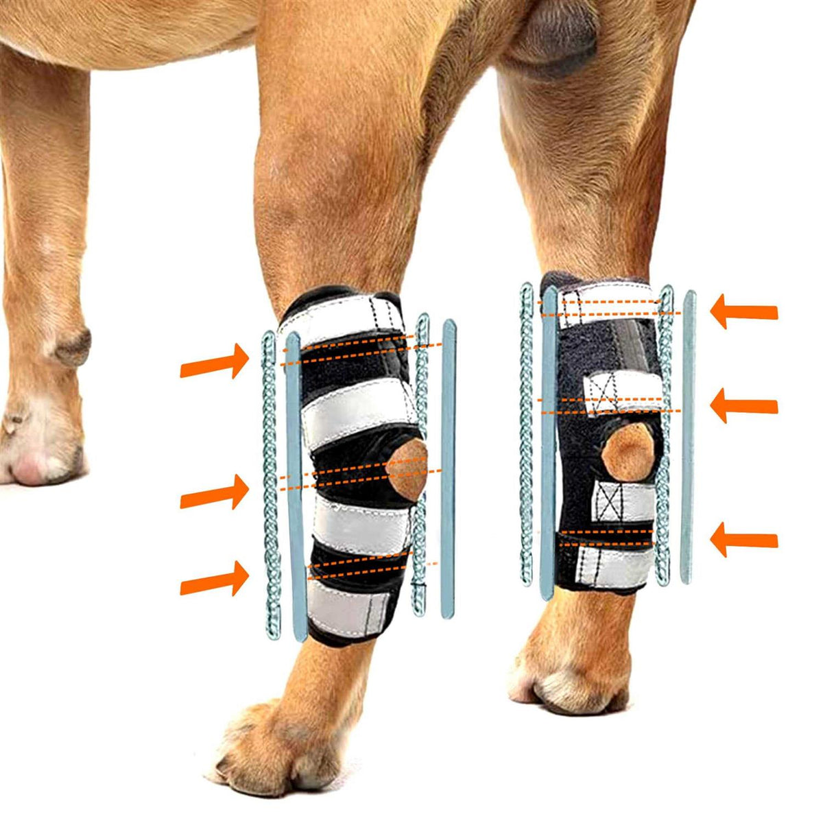 3-in-1 Dog Rear Leg Support Splint Braces J15819